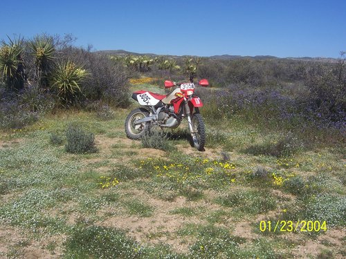 Roger J. Couture Photo