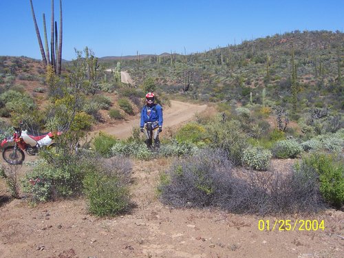 Roger J. Couture Photo