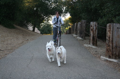 Roger J. Couture Photo