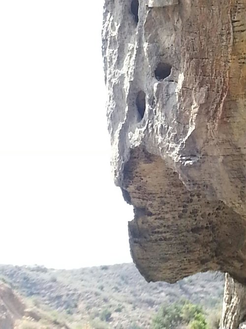 Roger J. Couture Photo